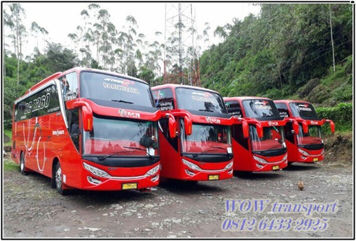 Sewa Bus Pariwisata Medan